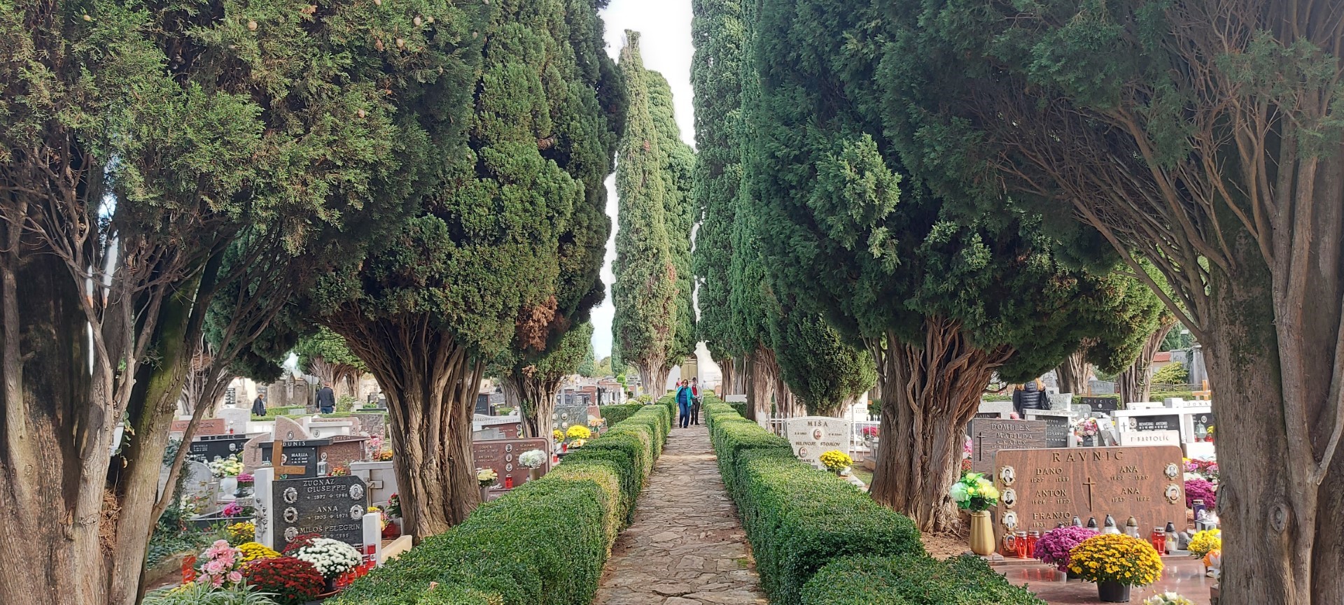 Na dan Svih Svetih, posvećeno dragim pokojnicima